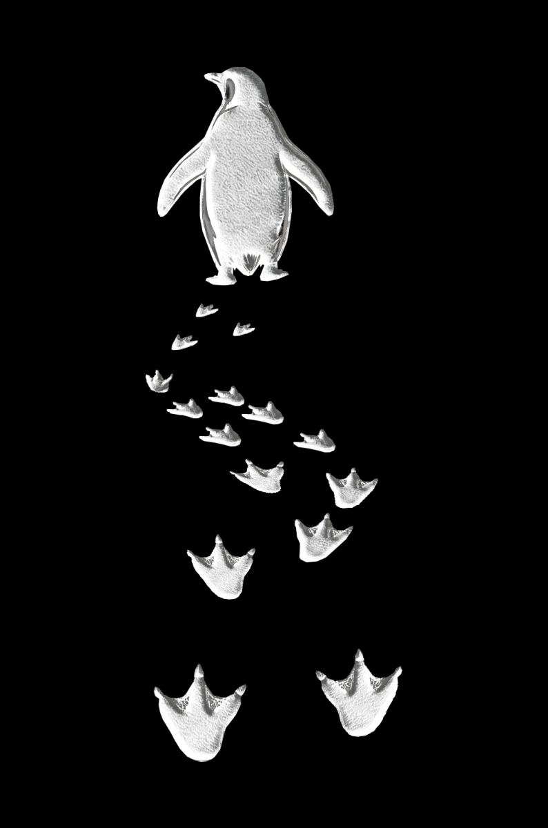 Kadın T-Shirt Penguen Baskılı Bisiklet Yaka Kısa kol yazlık Tişört - Siyah