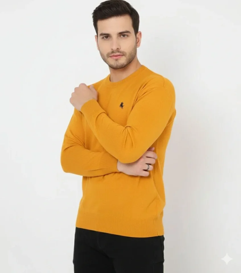 Erkek Bisiklet Yaka Nakış Işlemeli Triko Kazak Yumuşak Dokulu Pamuklu Ince Dokuma, Uzun Kollu Rahat Regular Kalıp - Turuncu